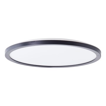 Brilliant - LED Stropní svítidlo MILTON LED/18W/230V pr. 29,3 cm černá
