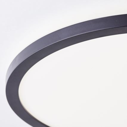 Brilliant - LED Stropní svítidlo MILTON LED/18W/230V pr. 29,3 cm černá