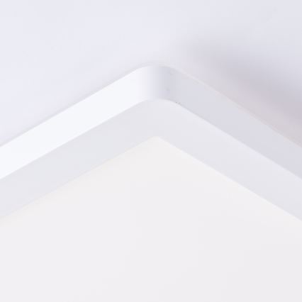 Brilliant - LED Stropní svítidlo MILTON LED/24W/230V 42x42 cm bílá