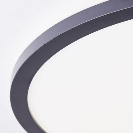Brilliant - LED Stropní svítidlo MILTON LED/24W/230V pr. 42 cm černá