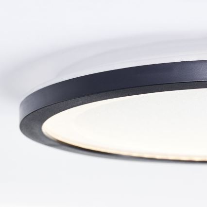 Brilliant - LED Stropní svítidlo MOSAKO LED/16W/230V 3000K pr. 25 cm černá