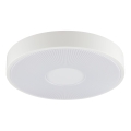 Brilliant - LED Stropní svítidlo RAKIN LED/18W/230V pr. 33,5 cm bílá