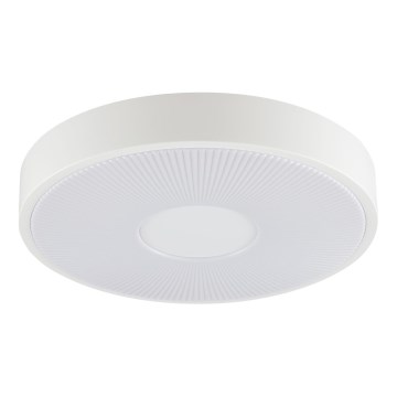Brilliant - LED Stropní svítidlo RAKIN LED/18W/230V pr. 33,5 cm bílá