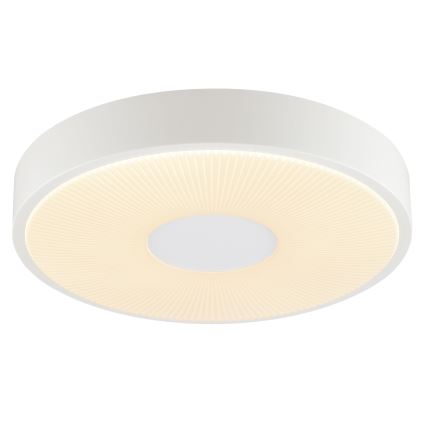 Brilliant - LED Stropní svítidlo RAKIN LED/18W/230V pr. 33,5 cm bílá