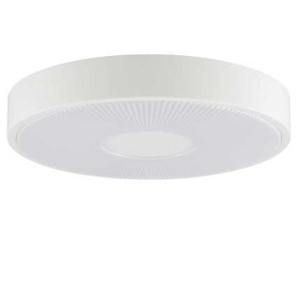 Brilliant - LED Stropní svítidlo RAKIN LED/18W/230V pr. 33,5 cm bílá