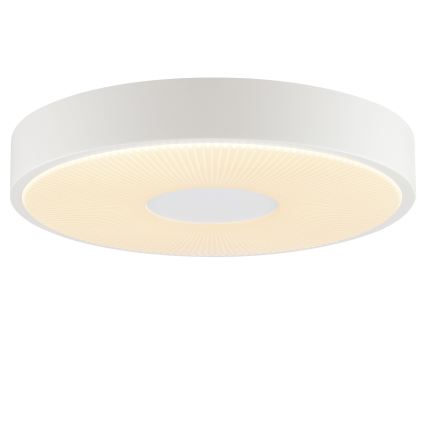 Brilliant - LED Stropní svítidlo RAKIN LED/18W/230V pr. 33,5 cm bílá