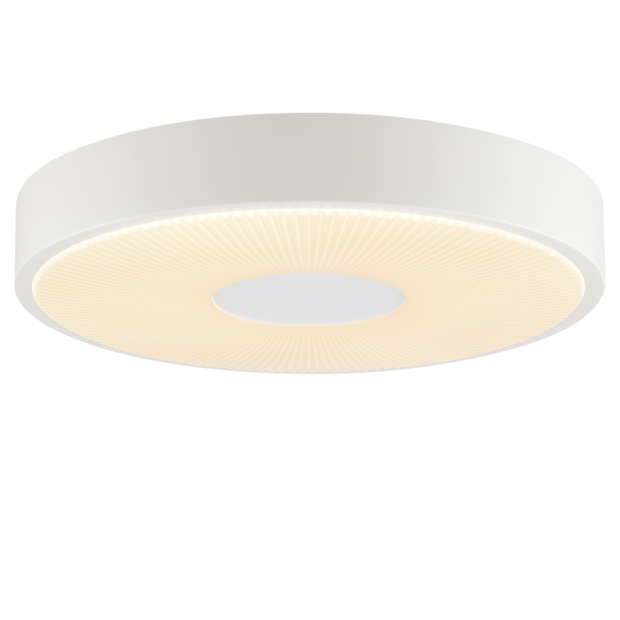 Brilliant - LED Stropní svítidlo RAKIN LED/18W/230V pr. 33,5 cm bílá
