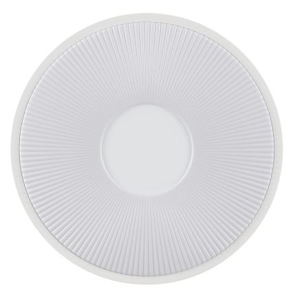 Brilliant - LED Stropní svítidlo RAKIN LED/18W/230V pr. 33,5 cm bílá