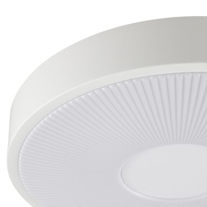 Brilliant - LED Stropní svítidlo RAKIN LED/18W/230V pr. 33,5 cm bílá