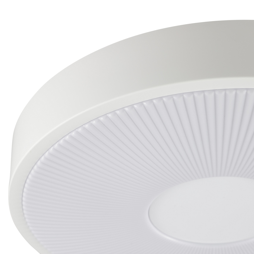 Brilliant - LED Stropní svítidlo RAKIN LED/18W/230V pr. 33,5 cm bílá