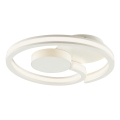 Brilliant - LED Stropní svítidlo REVOLA LED/33W/230V 3000/4000/6500K pr. 40 cm bílá