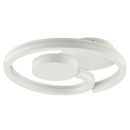 Brilliant - LED Stropní svítidlo REVOLA LED/33W/230V 3000/4000/6500K pr. 40 cm bílá