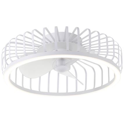 Brilliant - LED Stmívatelné stropní svítidlo s ventilátorem CAPO LED/36W/230V 2700-6500K pr. 48 cm bílá + dálkové ovládání