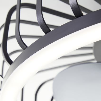 Brilliant - LED Stmívatelné stropní svítidlo s ventilátorem CAPO LED/36W/230V 2700-6500K pr. 48 cm černá + dálkové ovládání