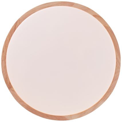Brilliant - LED Stropní svítidlo SLIMLINE LED/14W/230V 3000/4000K gumovník