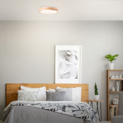 Brilliant - LED Stropní svítidlo SLIMLINE LED/24W/230V pr. 34,5 cm gumovník