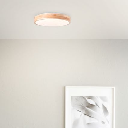 Brilliant - LED Stropní svítidlo SLIMLINE LED/24W/230V pr. 34,5 cm gumovník