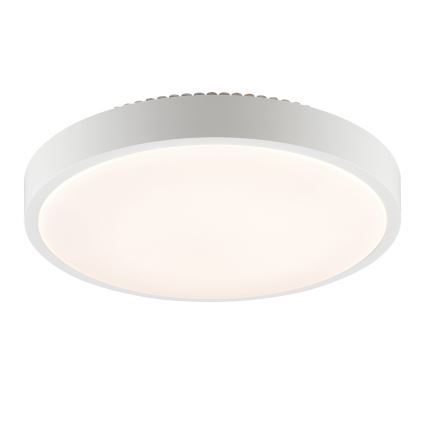 Brilliant - LED Stropní svítidlo SOLISTRA LED/24W/230V pr. 44,5 cm bílá