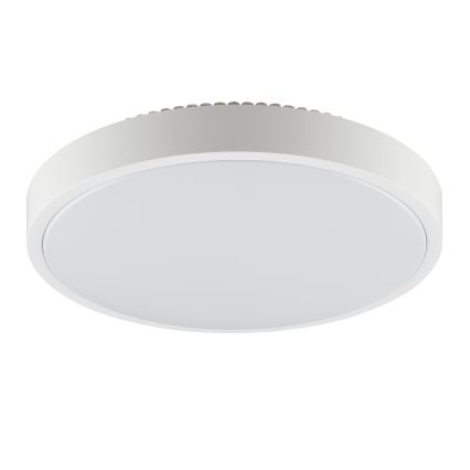 Brilliant - LED Stropní svítidlo SOLISTRA LED/24W/230V pr. 44,5 cm bílá