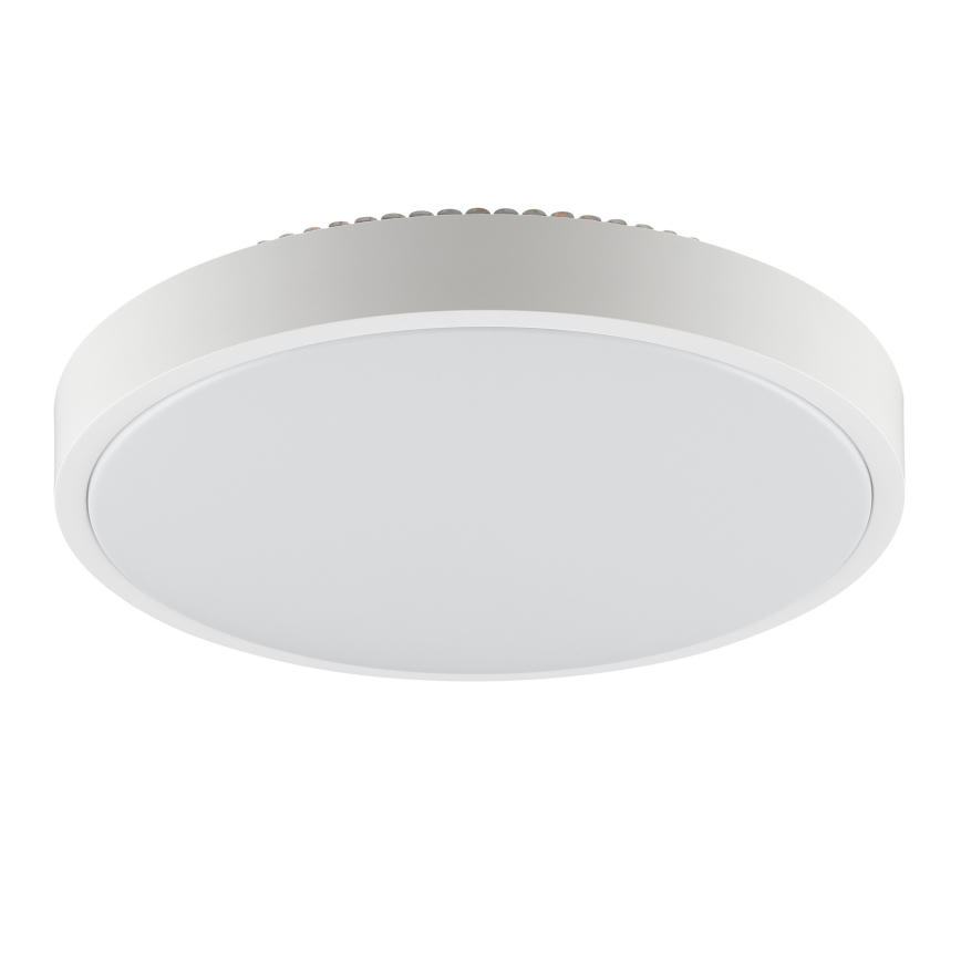 Brilliant - LED Stropní svítidlo SOLISTRA LED/24W/230V pr. 44,5 cm bílá