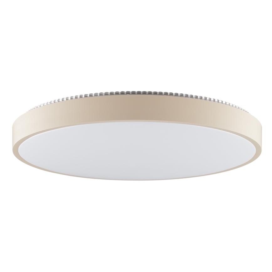 Brilliant - LED Stropní svítidlo SOLISTRA LED/36W/230V pr. 54 cm béžová