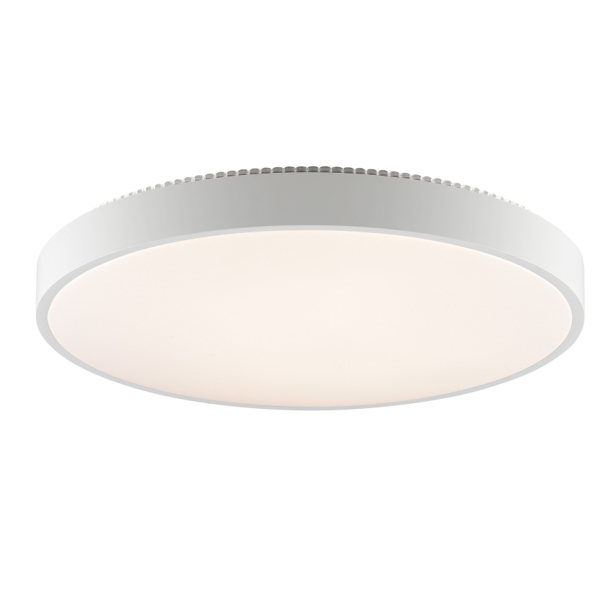 Brilliant - LED Stropní svítidlo SOLISTRA LED/36W/230V pr. 54 cm bílá