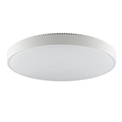 Brilliant - LED Stropní svítidlo SOLISTRA LED/36W/230V pr. 54 cm bílá