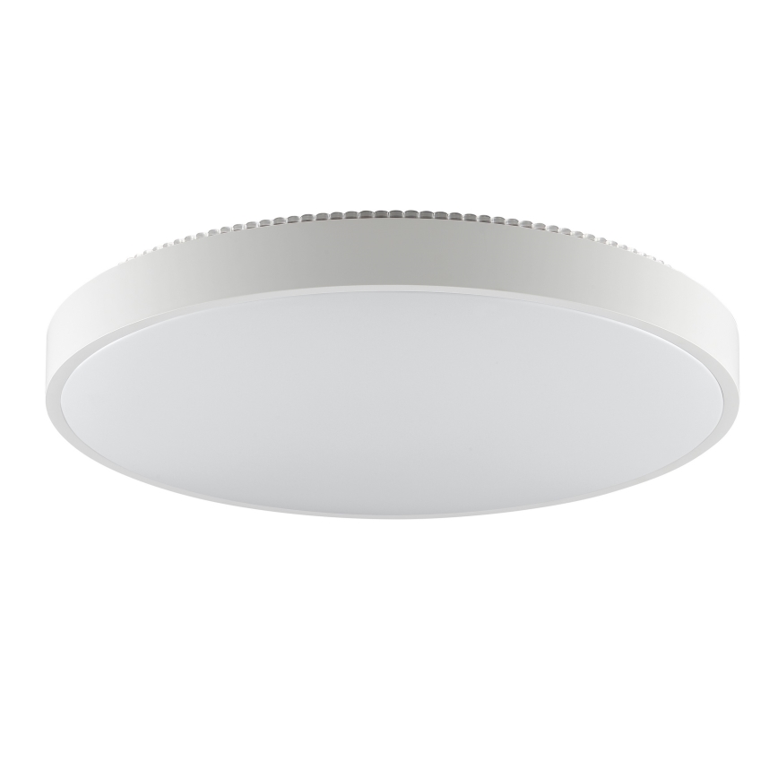 Brilliant - LED Stropní svítidlo SOLISTRA LED/36W/230V pr. 54 cm bílá