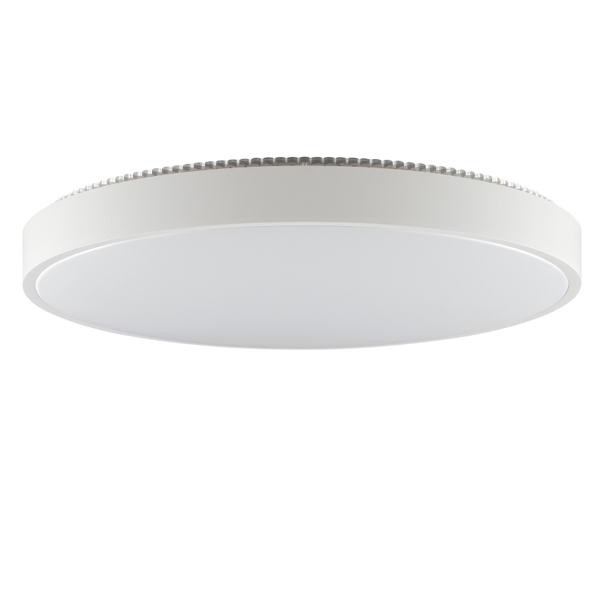 Brilliant - LED Stropní svítidlo SOLISTRA LED/36W/230V pr. 54 cm bílá