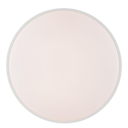 Brilliant - LED Stropní svítidlo SOLISTRA LED/36W/230V pr. 54 cm bílá