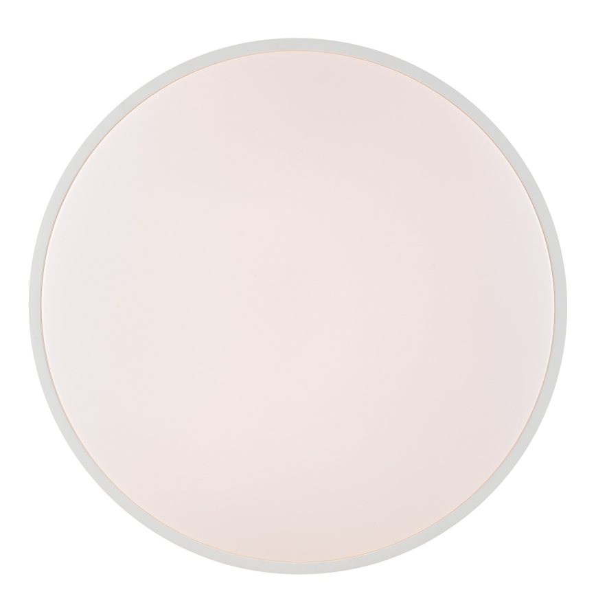 Brilliant - LED Stropní svítidlo SOLISTRA LED/36W/230V pr. 54 cm bílá
