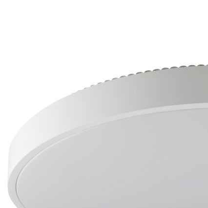 Brilliant - LED Stropní svítidlo SOLISTRA LED/36W/230V pr. 54 cm bílá