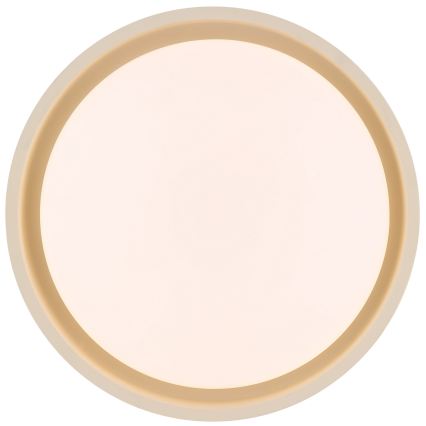 Brilliant - LED Stropní svítidlo SONORA LED/12W/230V 3000K pr. 31 cm béžová