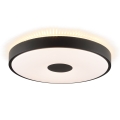 Brilliant - LED Stropní svítidlo TAVIS LED/24W/230V pr. 44,5 cm černá