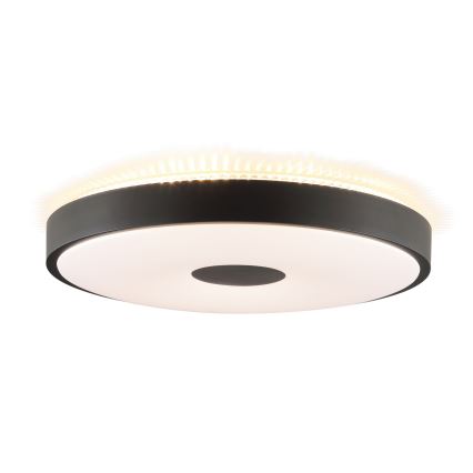 Brilliant - LED Stropní svítidlo TAVIS LED/24W/230V pr. 44,5 cm černá