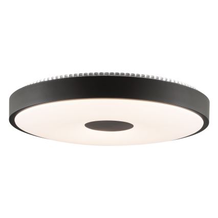 Brilliant - LED Stropní svítidlo TAVIS LED/24W/230V pr. 44,5 cm černá