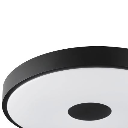 Brilliant - LED Stropní svítidlo TAVIS LED/24W/230V pr. 44,5 cm černá