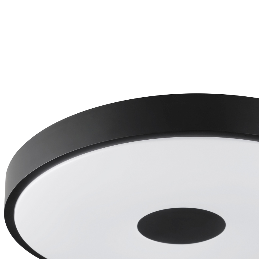 Brilliant - LED Stropní svítidlo TAVIS LED/24W/230V pr. 44,5 cm černá