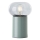Brilliant - Stolní lampa KNUT 1xE27/25W/230V zelená/čirá