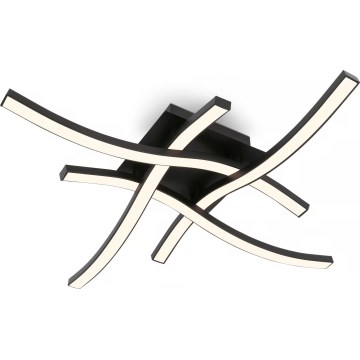 Brilo 3677-045 - LED Stropní svítidlo LED/14,4W/230V černá