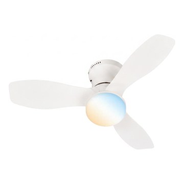 Brilo - LED Stmívatelný stropní ventilátor PAN LED/15W/230V 3000-6500K bílá + dálkové ovládání