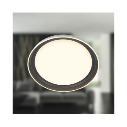 Brilo - LED Stropní svítidlo IJUS LED/24W/230V 3000K pr. 43 cm