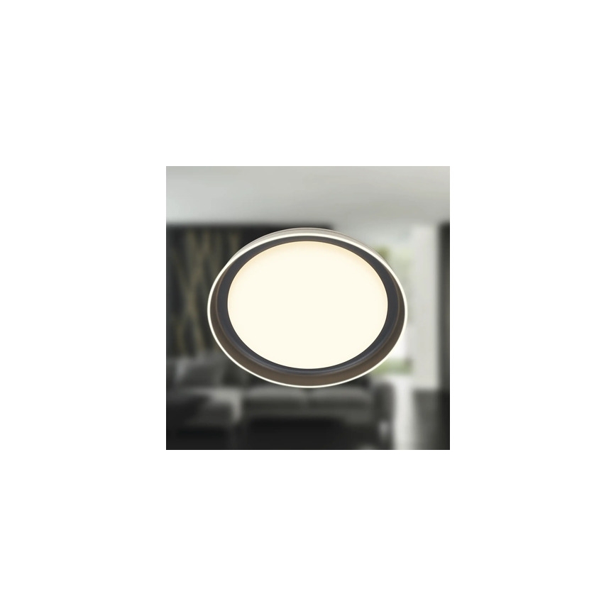 Brilo - LED Stropní svítidlo IJUS LED/24W/230V 3000K pr. 43 cm