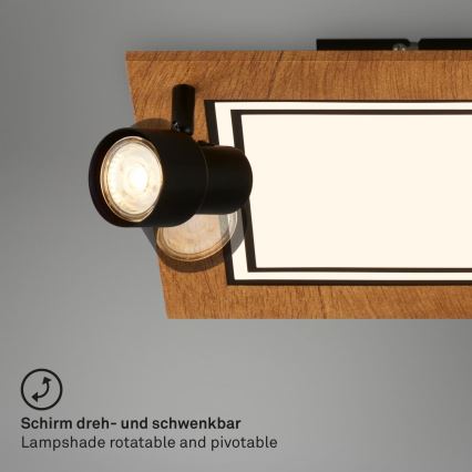 Brilo - LED Stropní svítidlo LED/12W/230V + 2xGU10/9W 3000K
