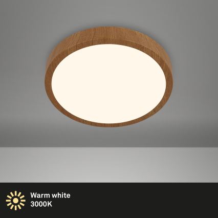 Brilo - LED Stropní svítidlo RUNA LED/12W/230V