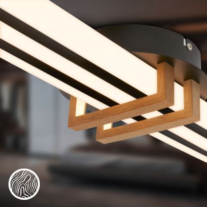 Brilo - LED Stropní svítidlo TINKA LED/30W/230V 3000K černá