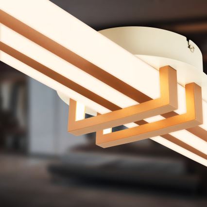 Brilo - LED Stropní svítidlo TINKA LED/30W/230V 3000K měděná