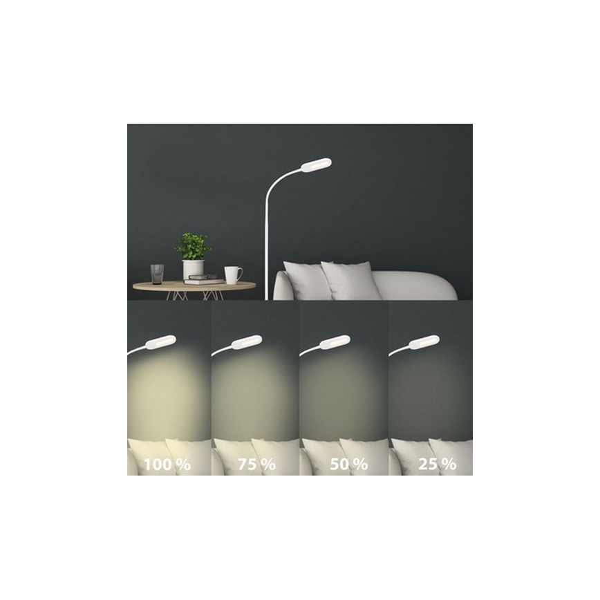 Briloner 1297-016 - LED Stmívatelná dotyková stojací lampa LED/8W/230V 3000/4000/6000K
