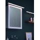 Briloner 2060-018 - LED Koupelnové osvětlení zrcadla SPLASH LED/10W/230V IP23