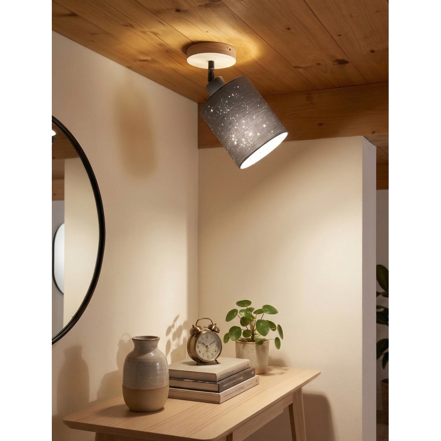 Briloner 2078-011 - Nástěnné bodové svítidlo SPOTLIGHT 1xE27/25W/230V béžová